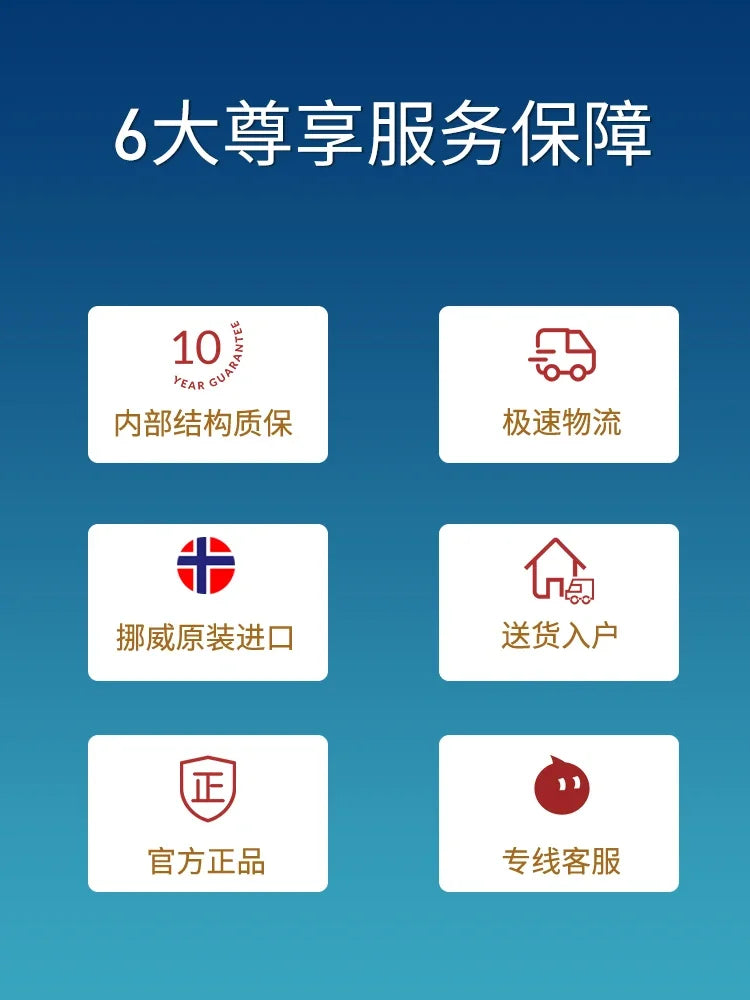 Fashion high backrest leather light luxury chair with pedal lazy leisure living room bedroom