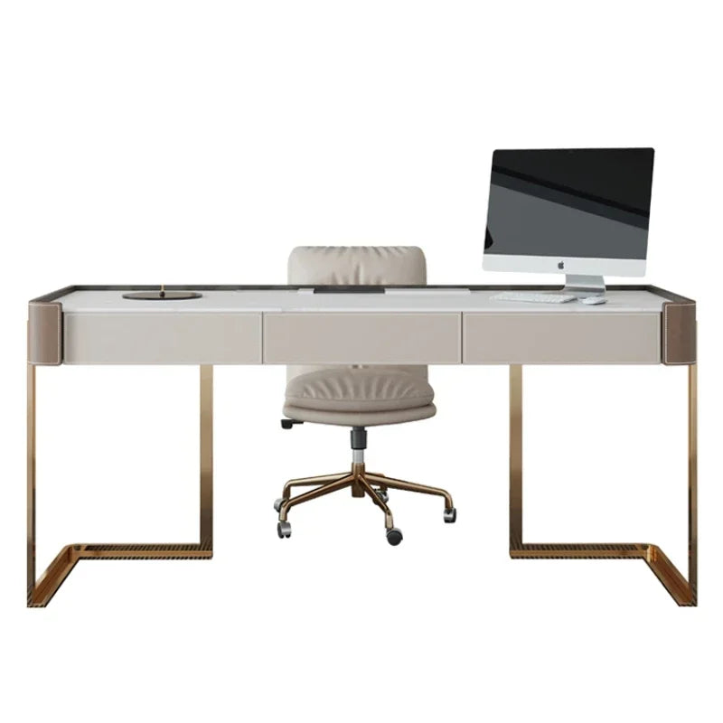 Luxury Modern Laptop Office Desk Standing Drawer Organizer Executive Home Computer Desks Gaming Reading Mesa Oficina Furniture