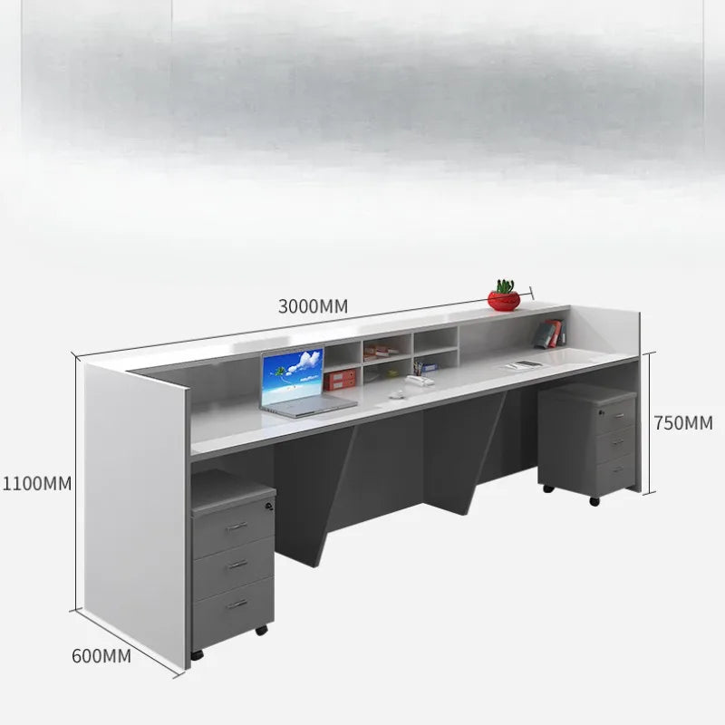Furniture Reception Counter Desk Long Salon Shop Service Office Secretary Aesthetic Center Decor Table Leggio Beauty Help Syh