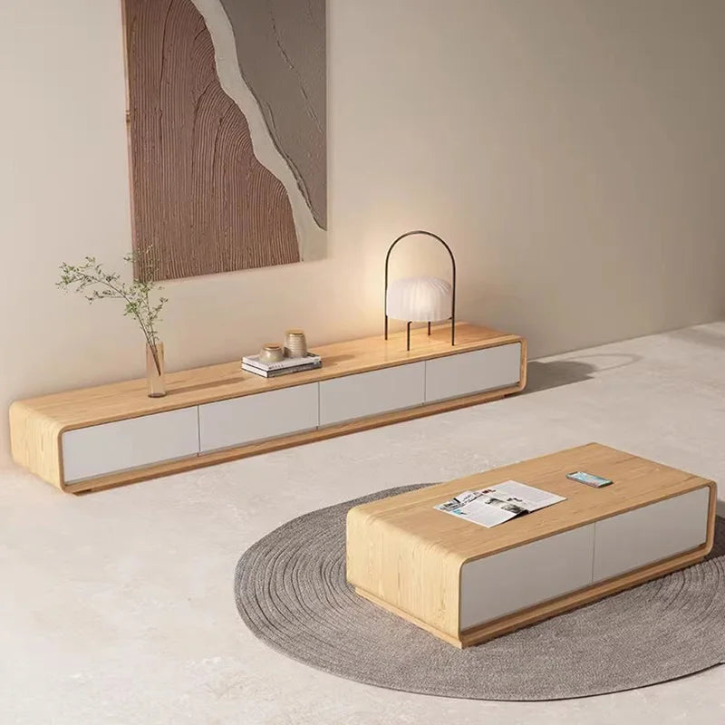 Affordable Nordic TV Rack – Portable Wooden Stand and Organizer