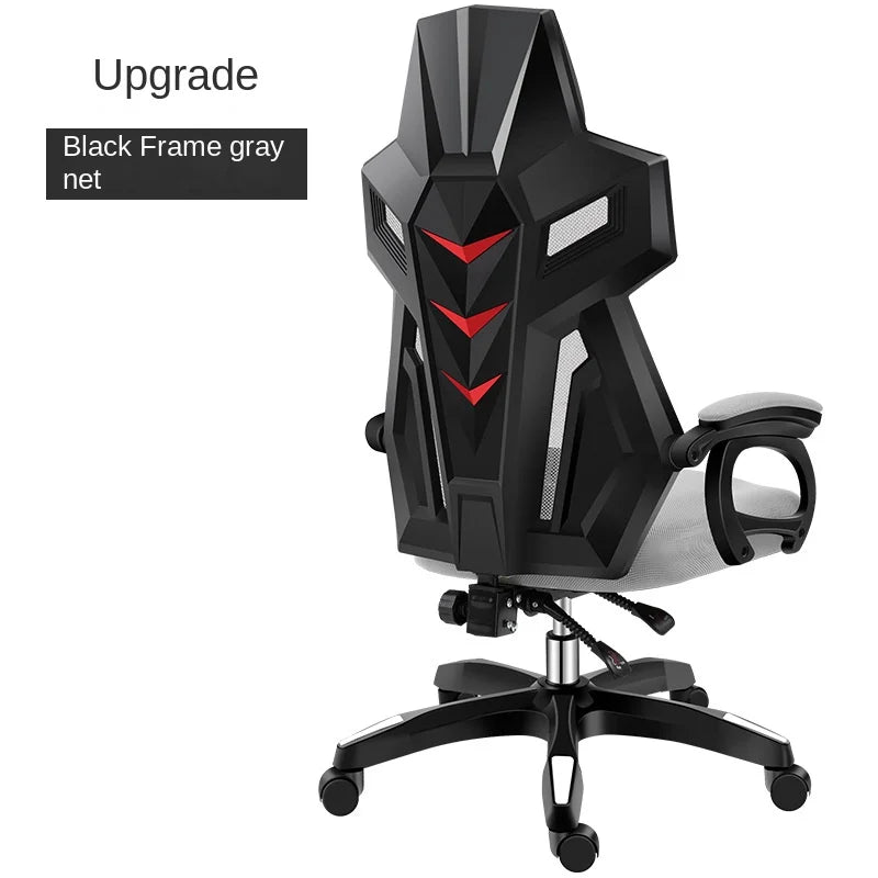 49512647754042