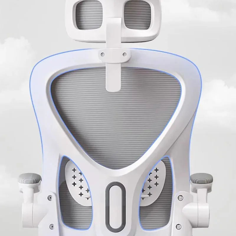 Ergonomic office chair with back support and cushion