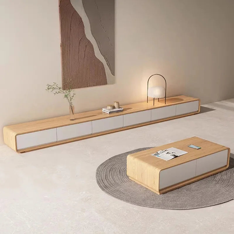 Affordable Nordic TV Rack – Portable Wooden Stand and Organizer