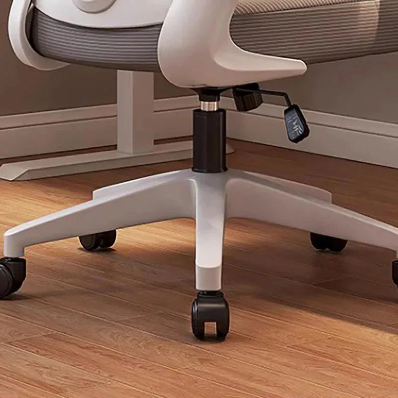 Ergonomic office chair with back support and cushion