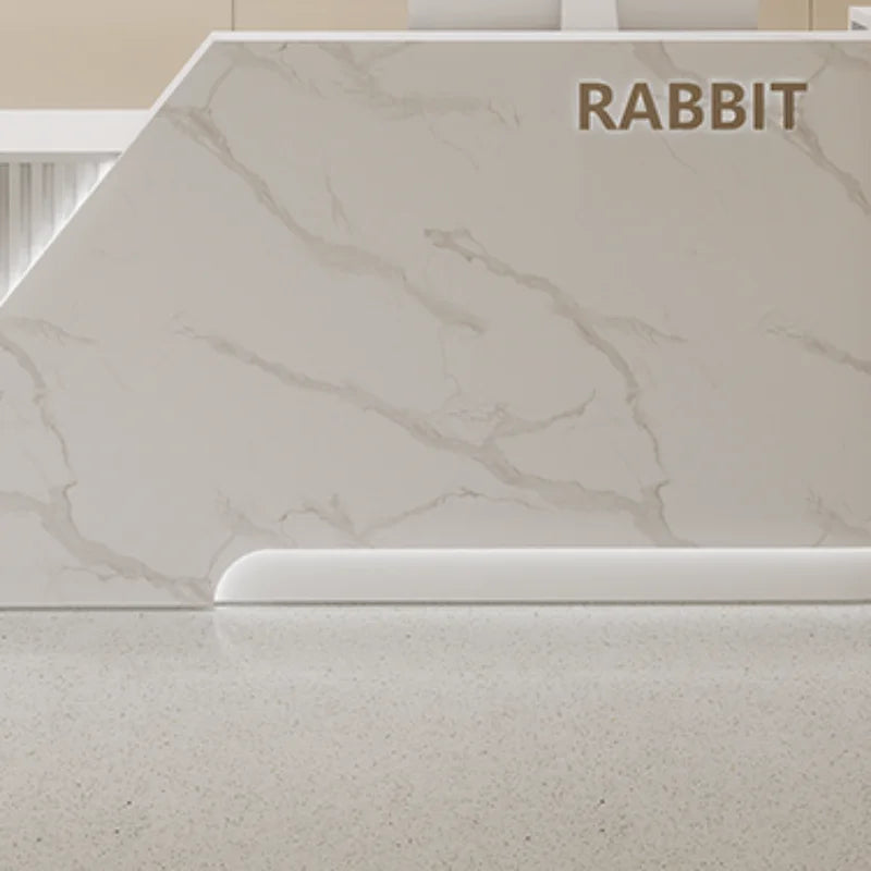 Store Modern Reception Desk Beauty Salon Office Front Salon Reception Desk Luxury Modern Bureau Meuble Reception Furniture