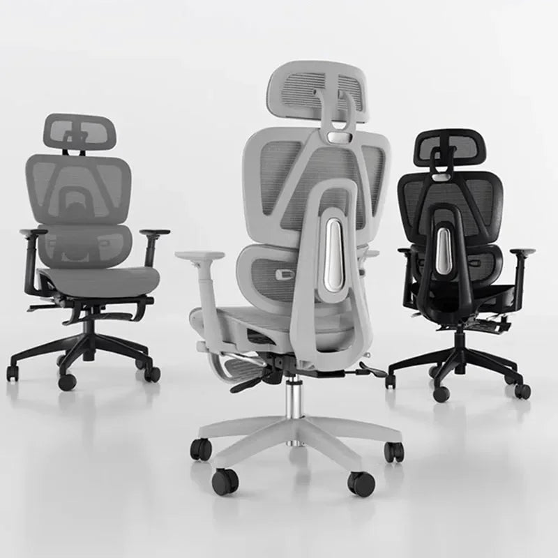 49512766079290|49512766112058|49512766144826|49512766177594|49512766210362|49512766243130|49512766275898|49512766308666