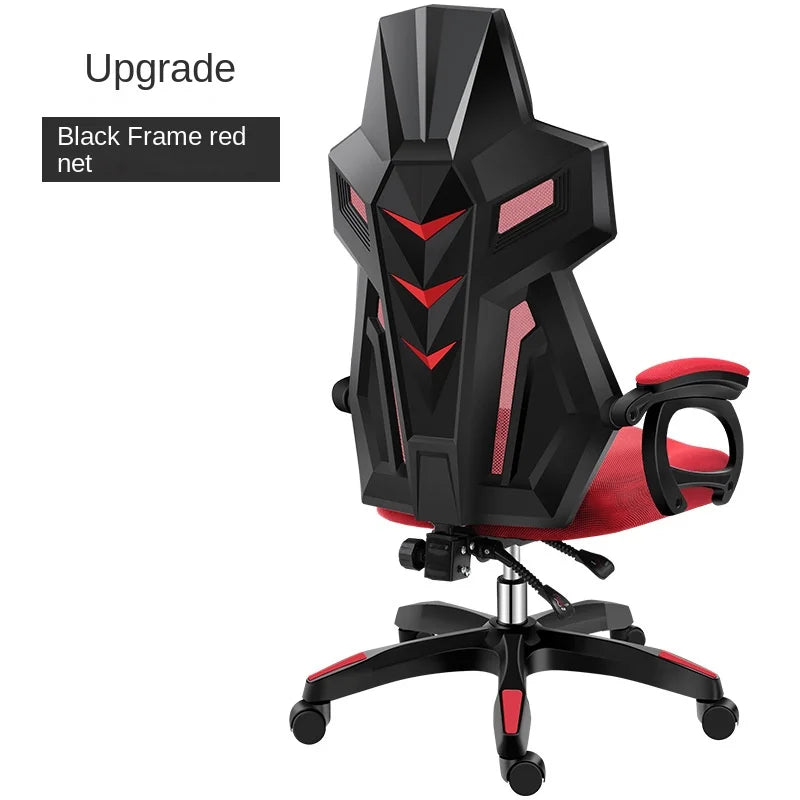 49512647655738