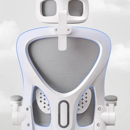 Ergonomic office chair with back support and cushion