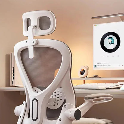 Ergonomic office chair with back support and cushion